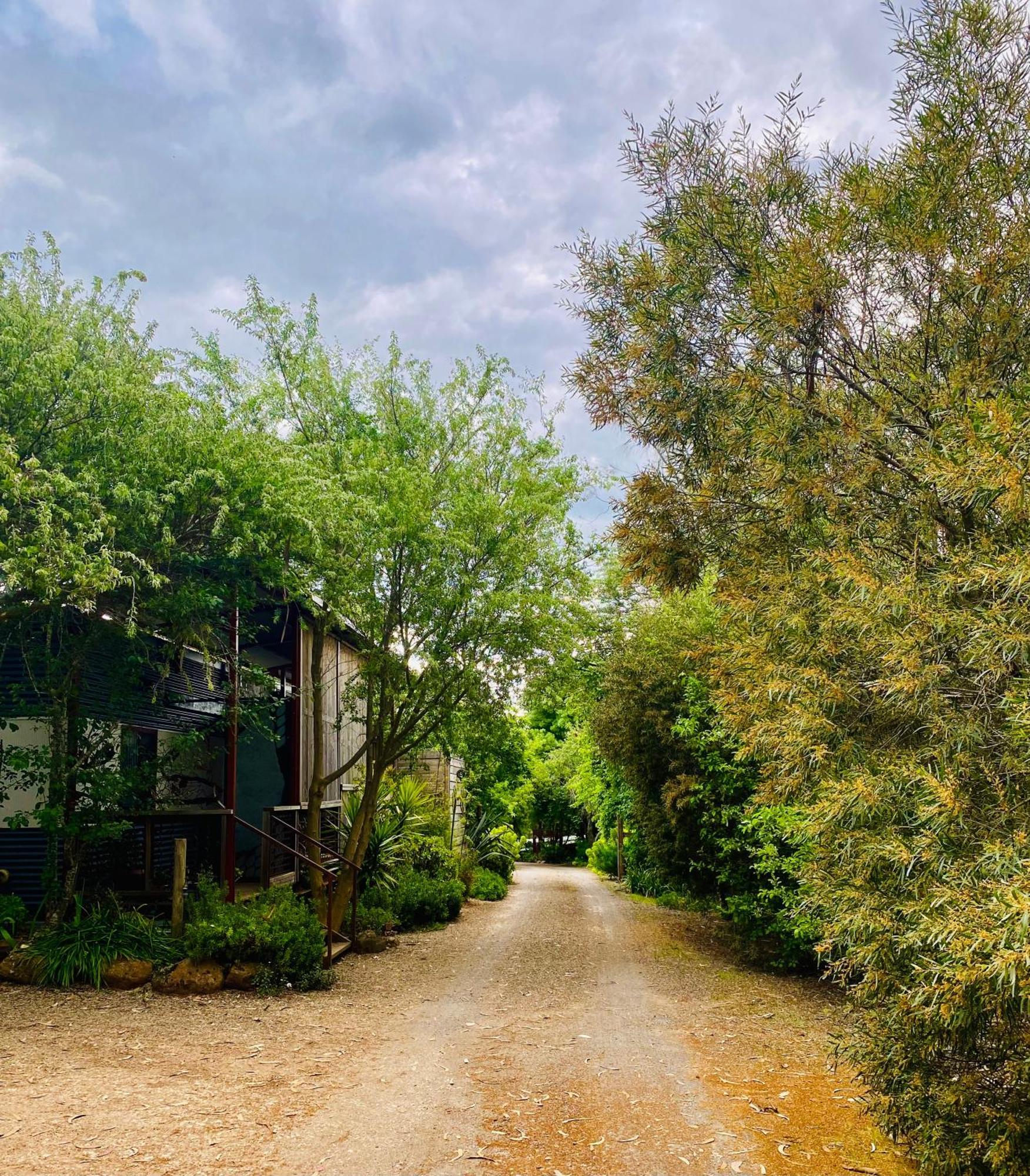 Sutton Spring Art Retreats Apartment Daylesford Bilik gambar