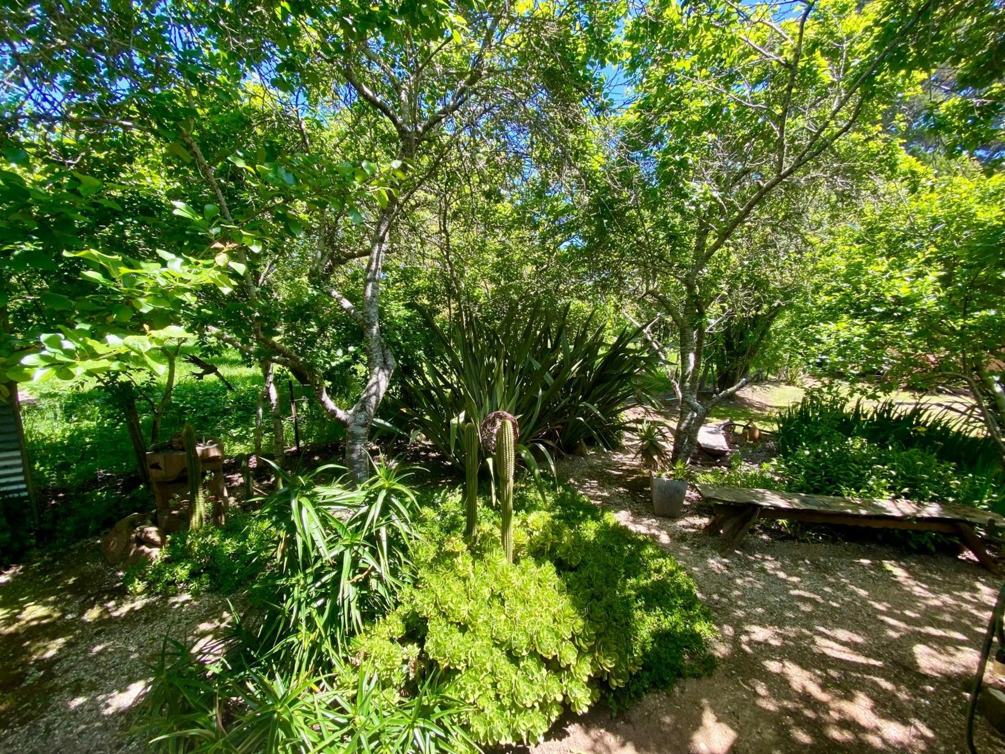 Sutton Spring Art Retreats Apartment Daylesford Bilik gambar