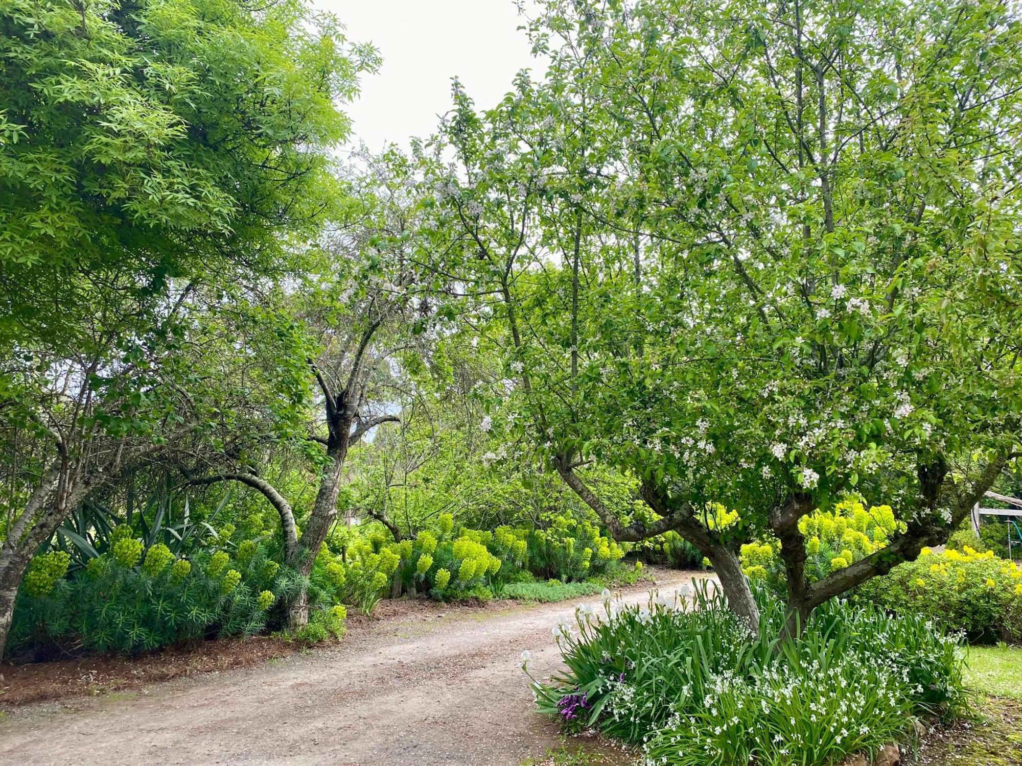 Sutton Spring Art Retreats Apartment Daylesford Bilik gambar