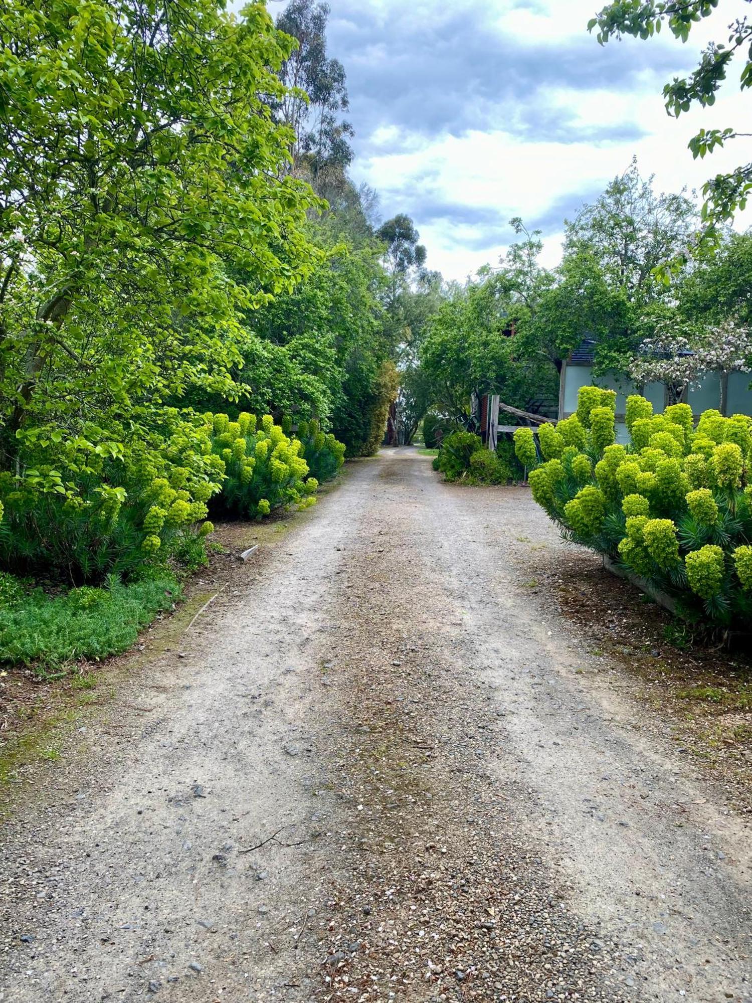 Sutton Spring Art Retreats Apartment Daylesford Luaran gambar