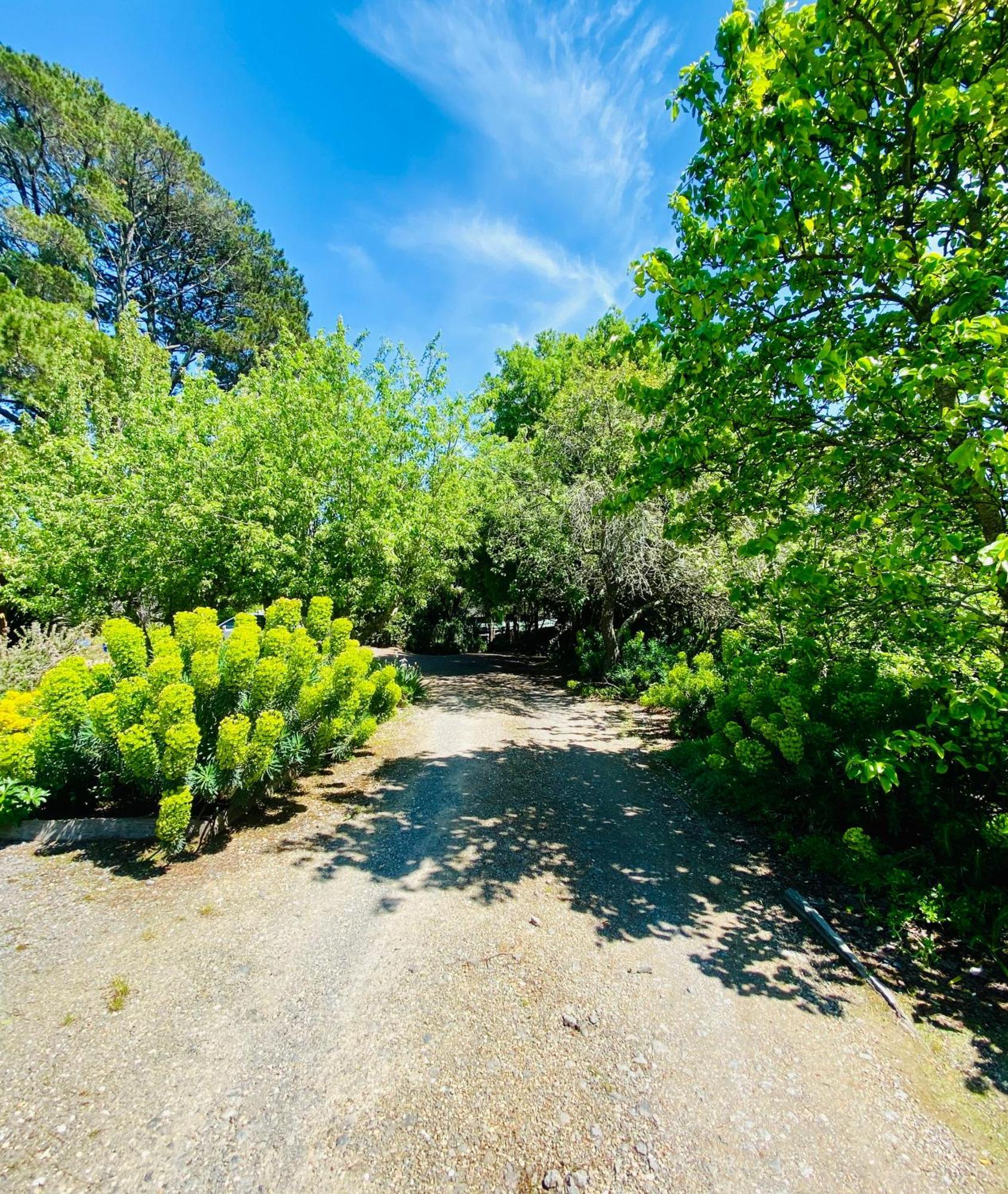 Sutton Spring Art Retreats Apartment Daylesford Luaran gambar